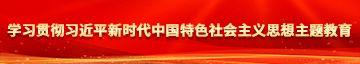 操女人BB的过程视频学习贯彻习近平新时代中国特色社会主义思想主题教育